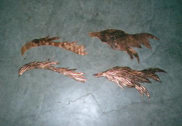 Hair Sections