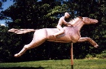 Horse & Jockey