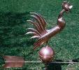 Stylized Rooster